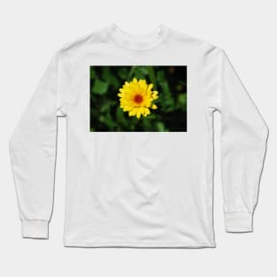 English Marigold Long Sleeve T-Shirt